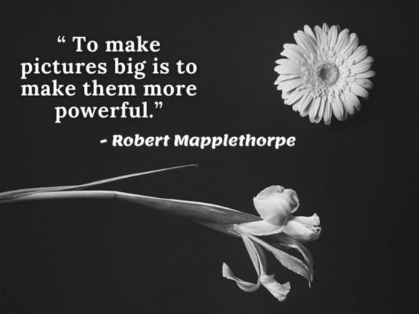 Robert Mapplethorpe | Inspirational Photography Quotes